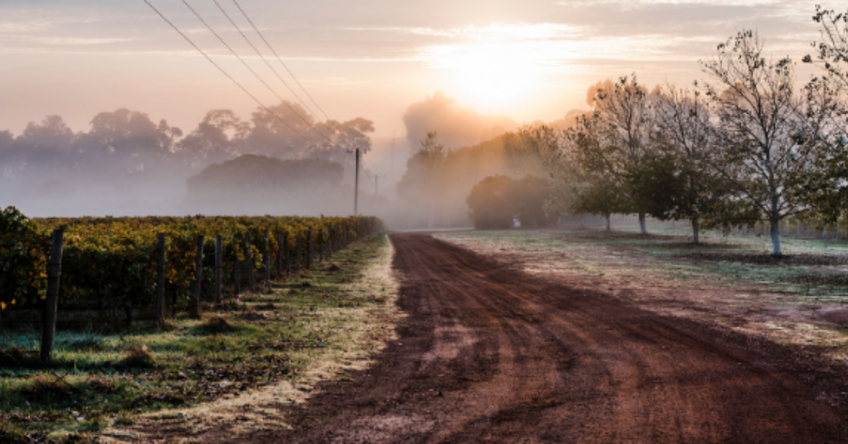 Southern Backroads Trail