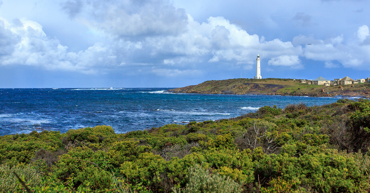 Discover The Insider Secrets About Margaret River