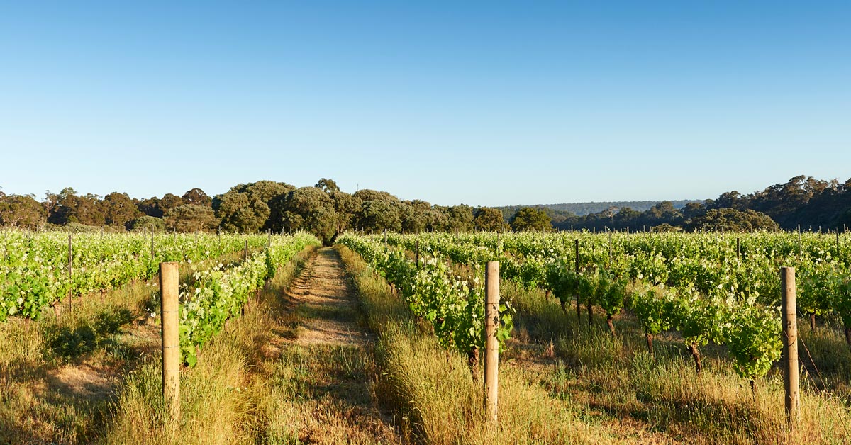 margaret-river-then-and-now