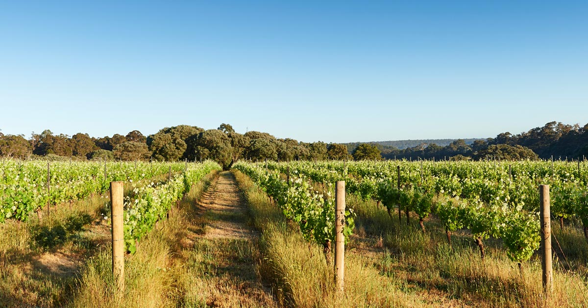 margaret-river-then-and-now