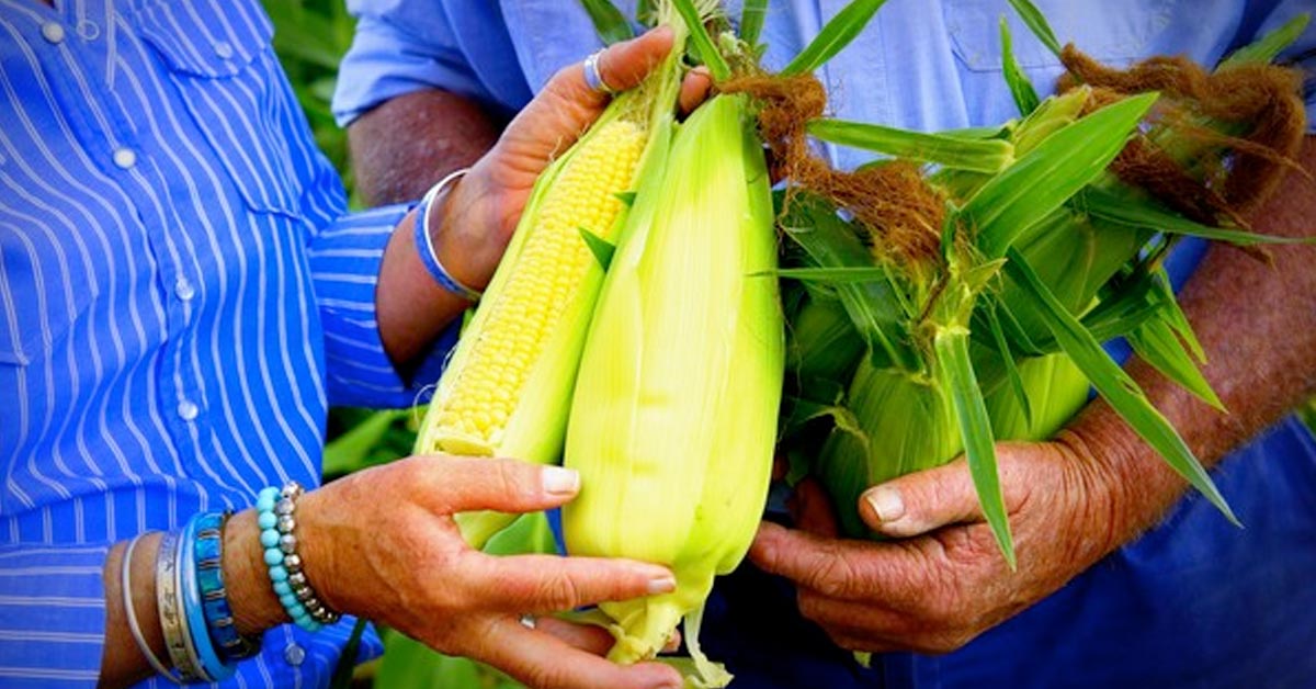 spring-produce-margaret-river